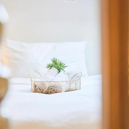 Cozy Artist Loft Apartment *