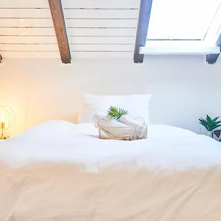Apartment Cozy Artist Loft